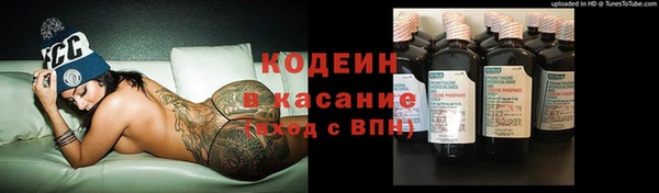 мяу мяу мука Инсар