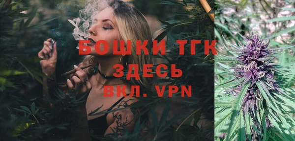 мяу мяу мука Инсар