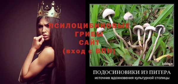 тгк Инта