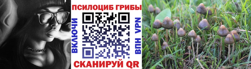 Псилоцибиновые грибы MAGIC MUSHROOMS  Купить где  Омутнинск 
